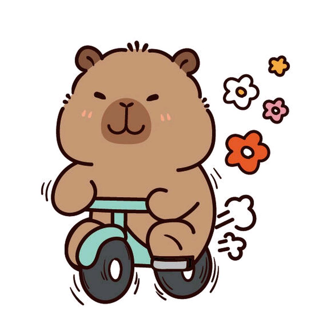 小七来了