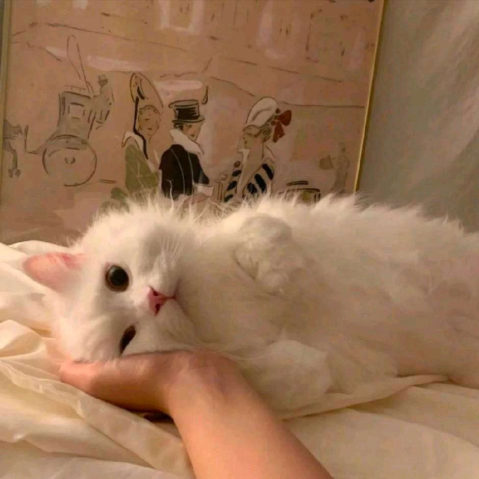 三角洲The乔