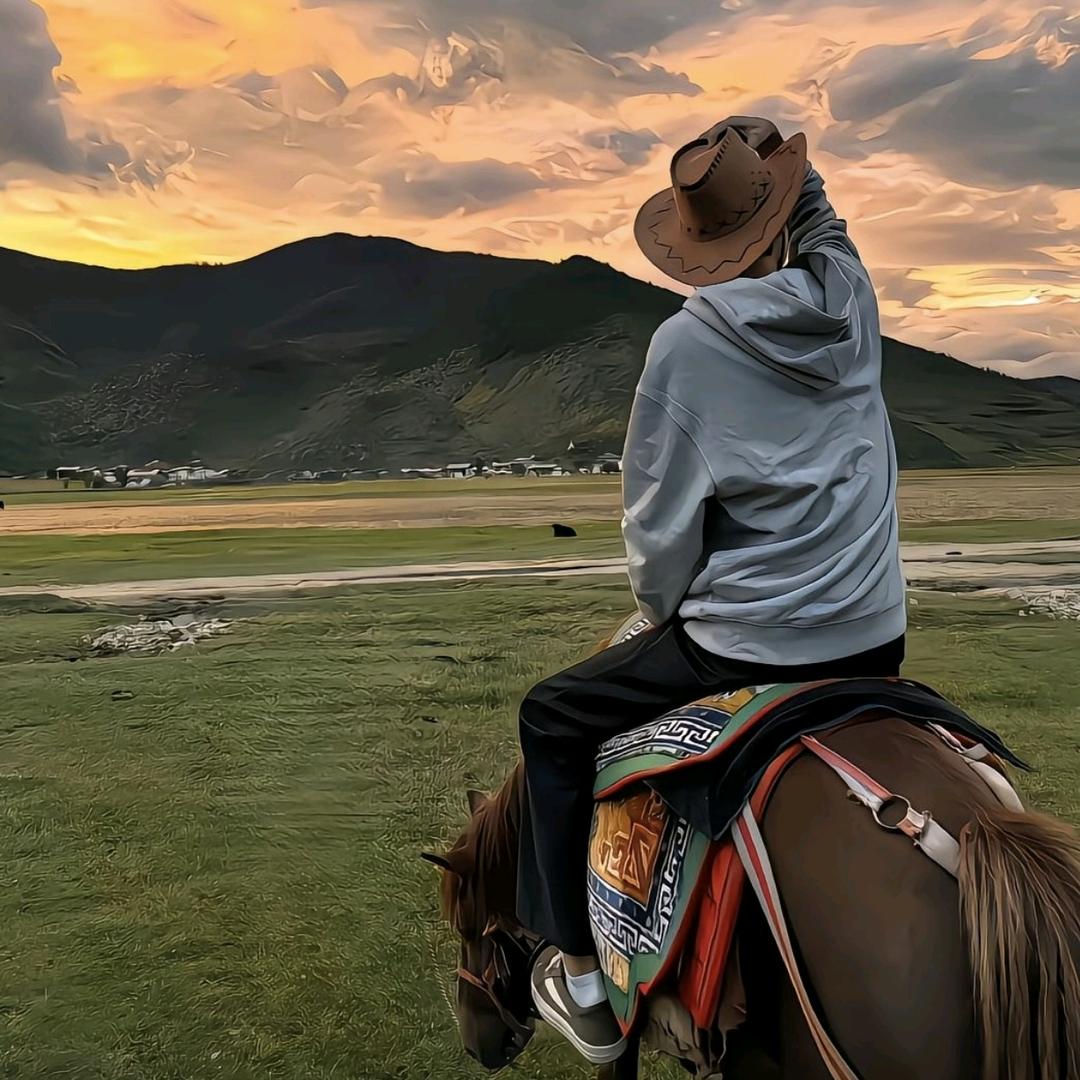大王叫鹅来巡山