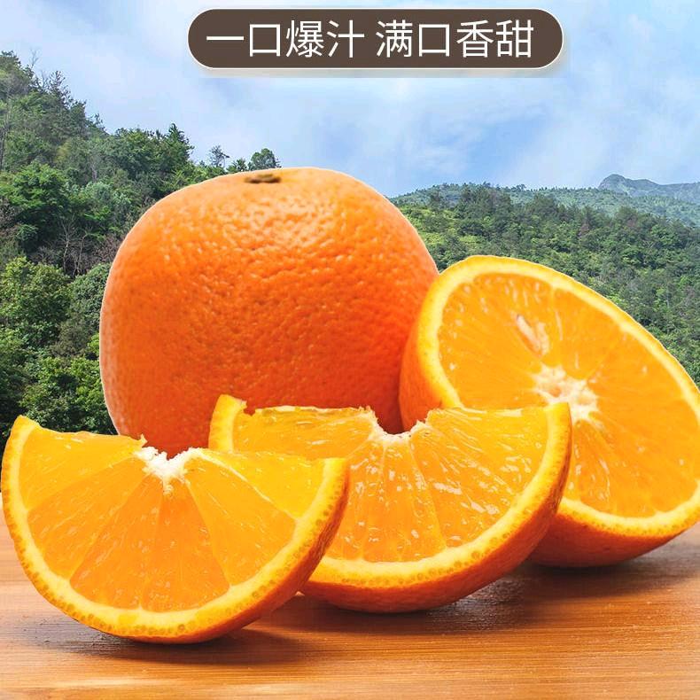 赣南脐橙剑哥果园直发