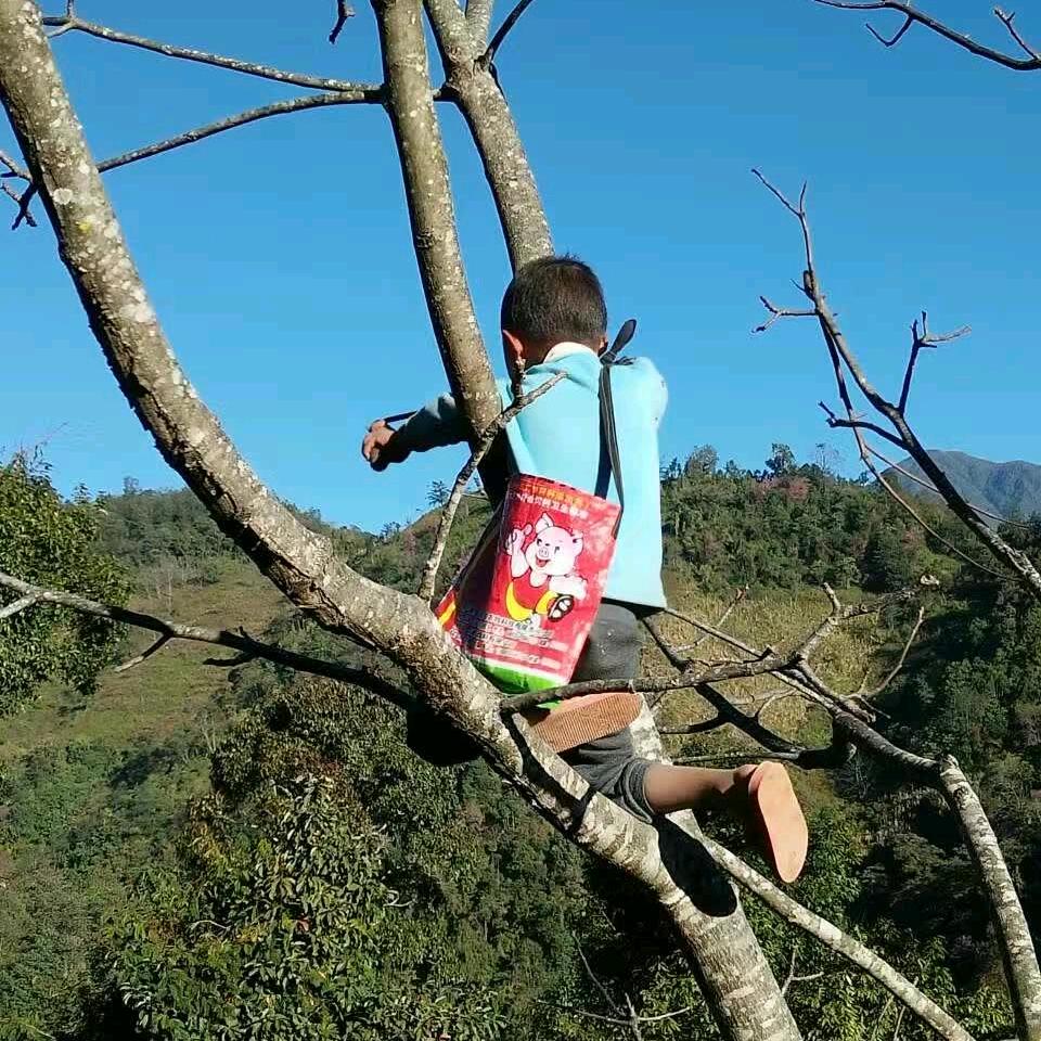 以心换心，视为君！