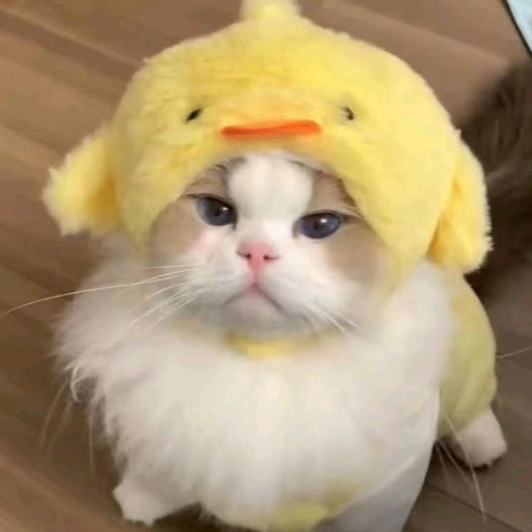 我叫不紧张
