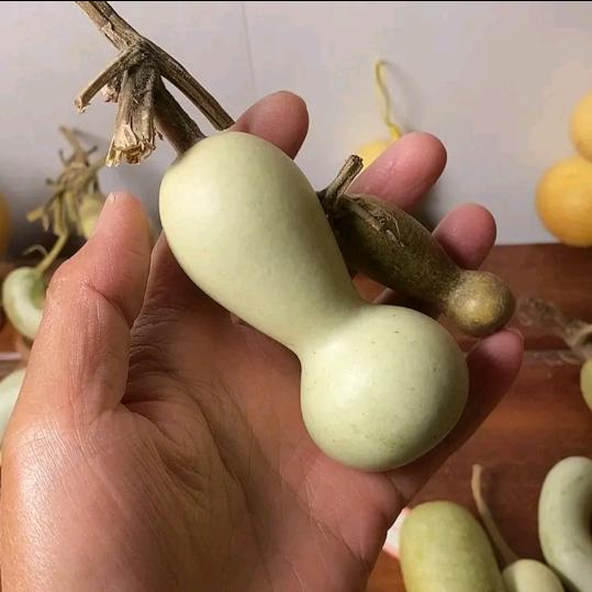 感叹号葫芦