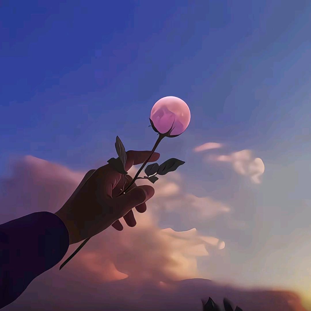 深圳市锦毅文化传媒有限公司