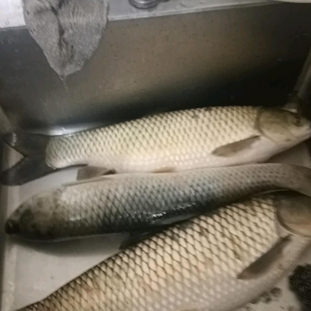湘江阿文