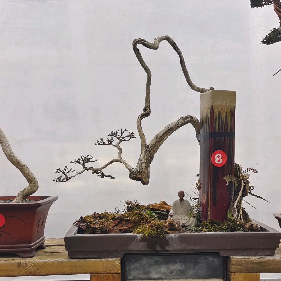 大方 爱木