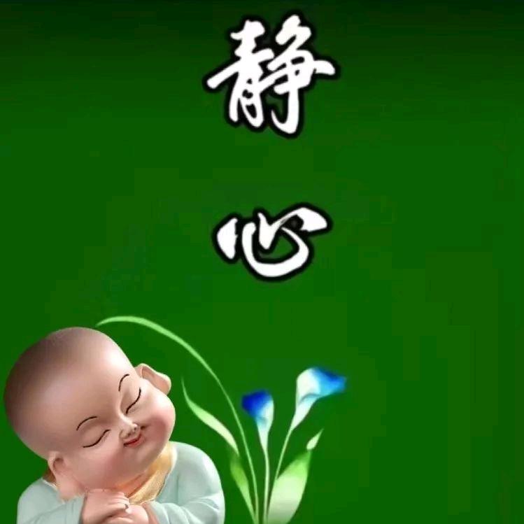 最美相遇