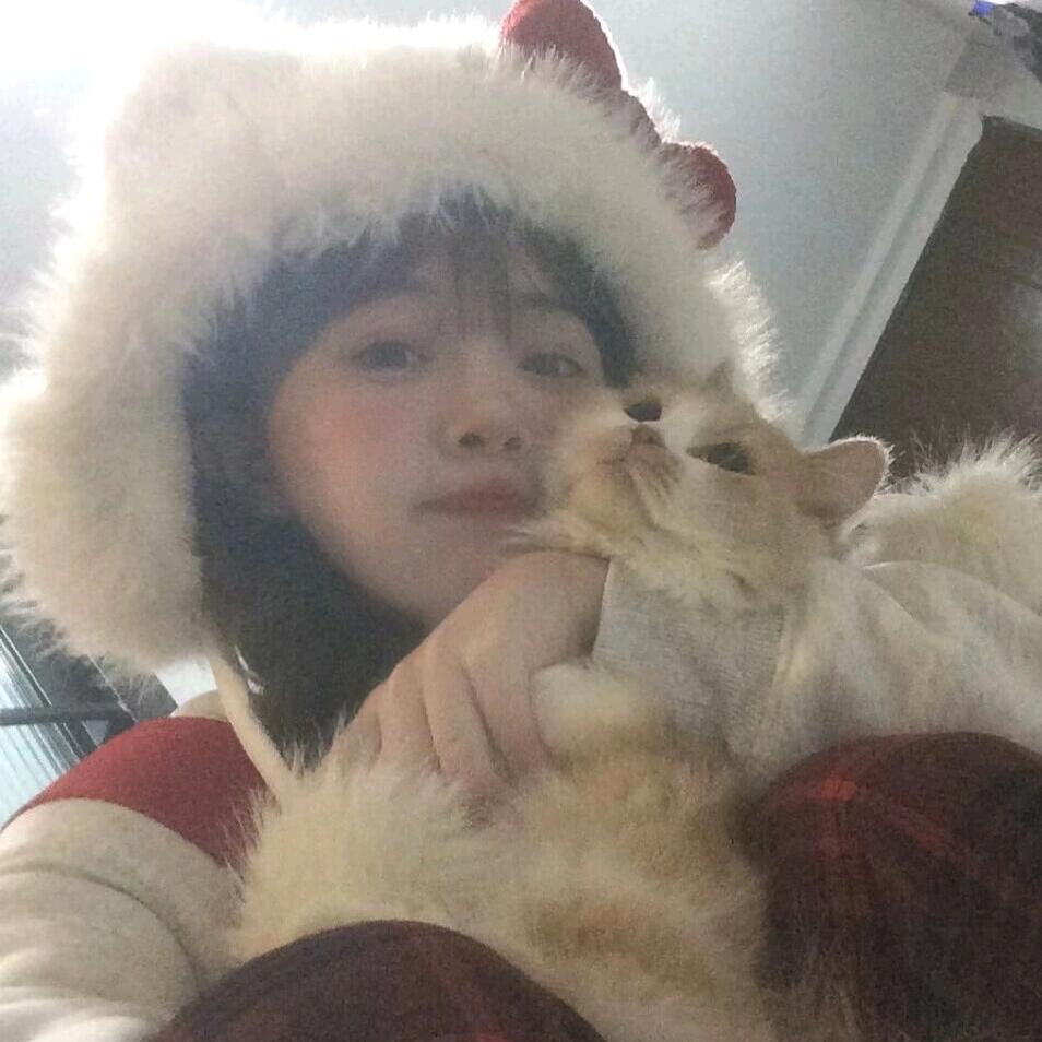 曲奇饼干🍪