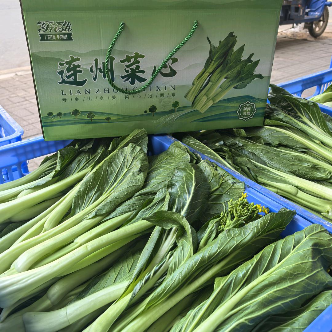 连州军哥