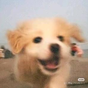 YR