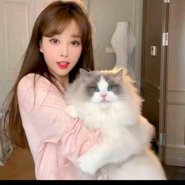 游鹿鹿【穿搭分享】