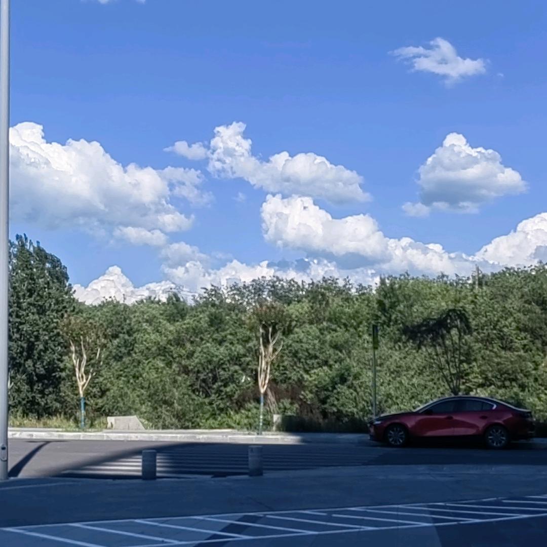 晚上的太阳，飞哥