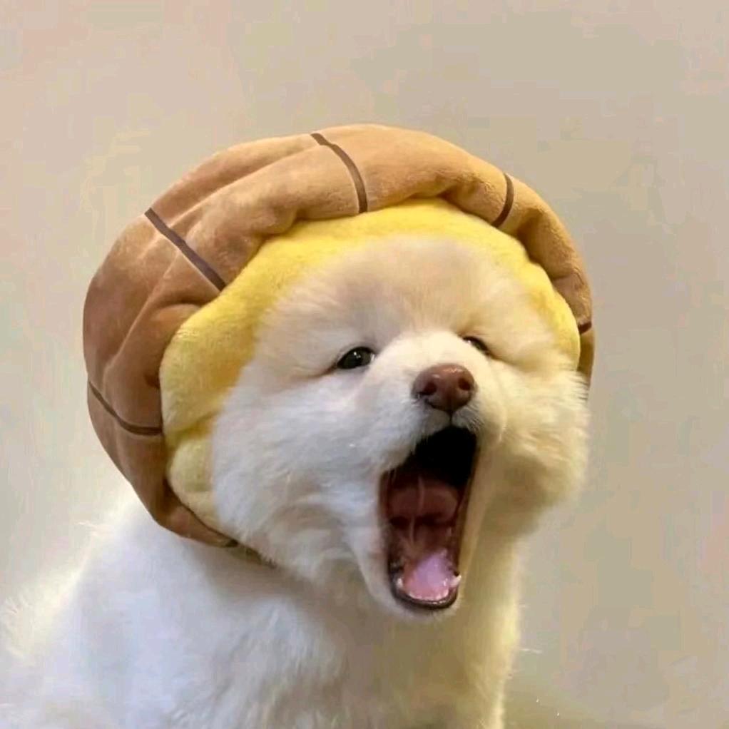 乐乐园长