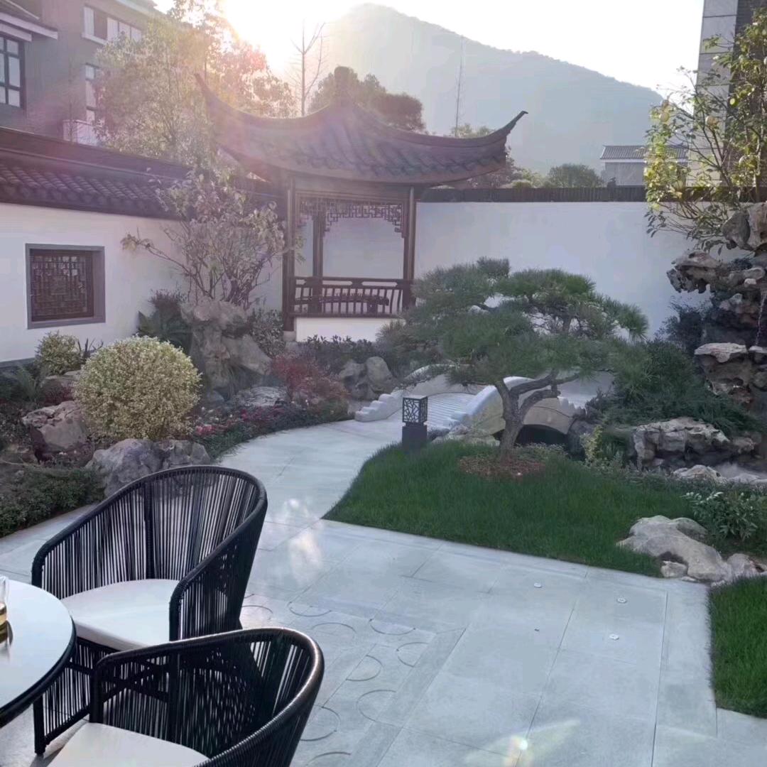 我的豆