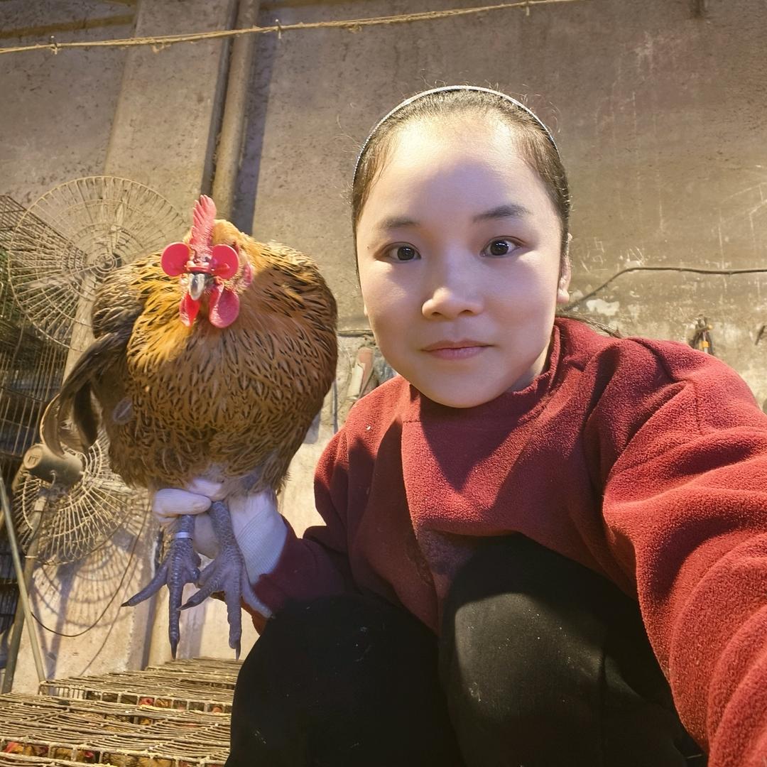 荣姐吖