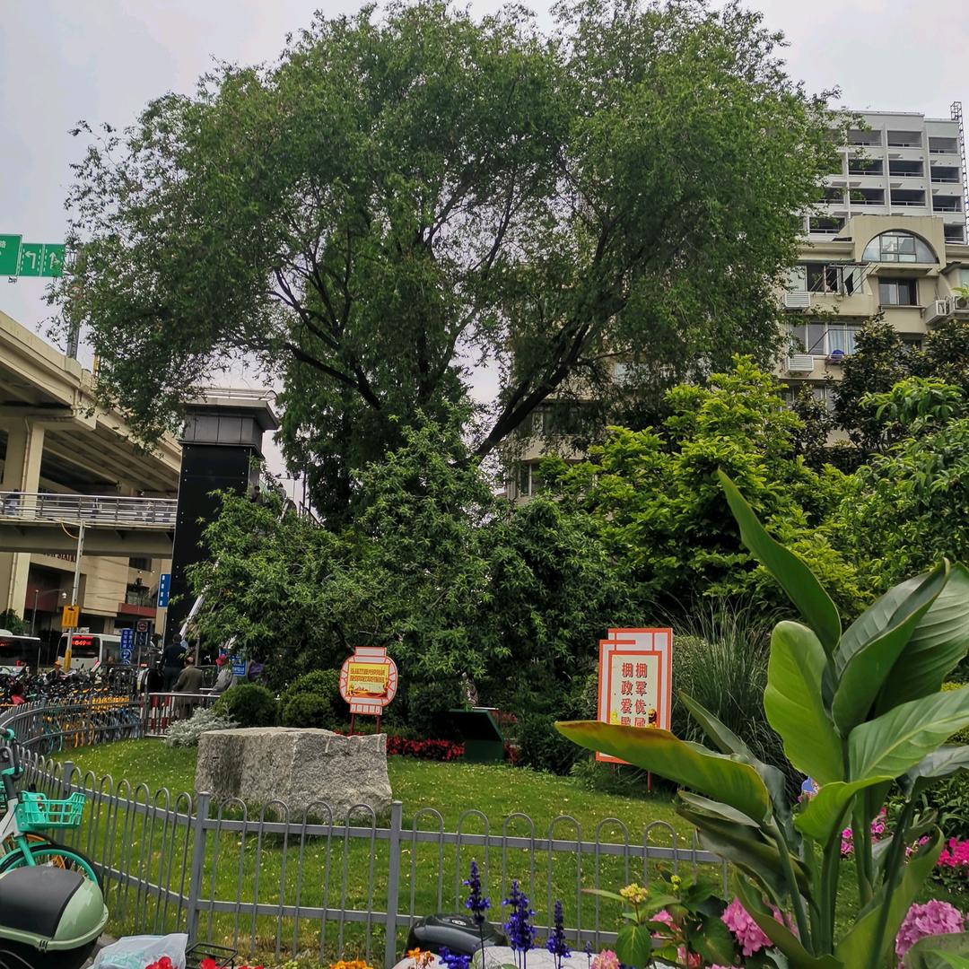 诗和远方,