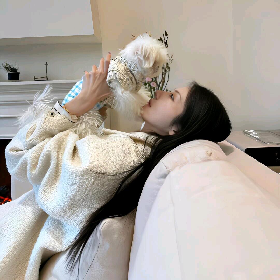 烤鱼片