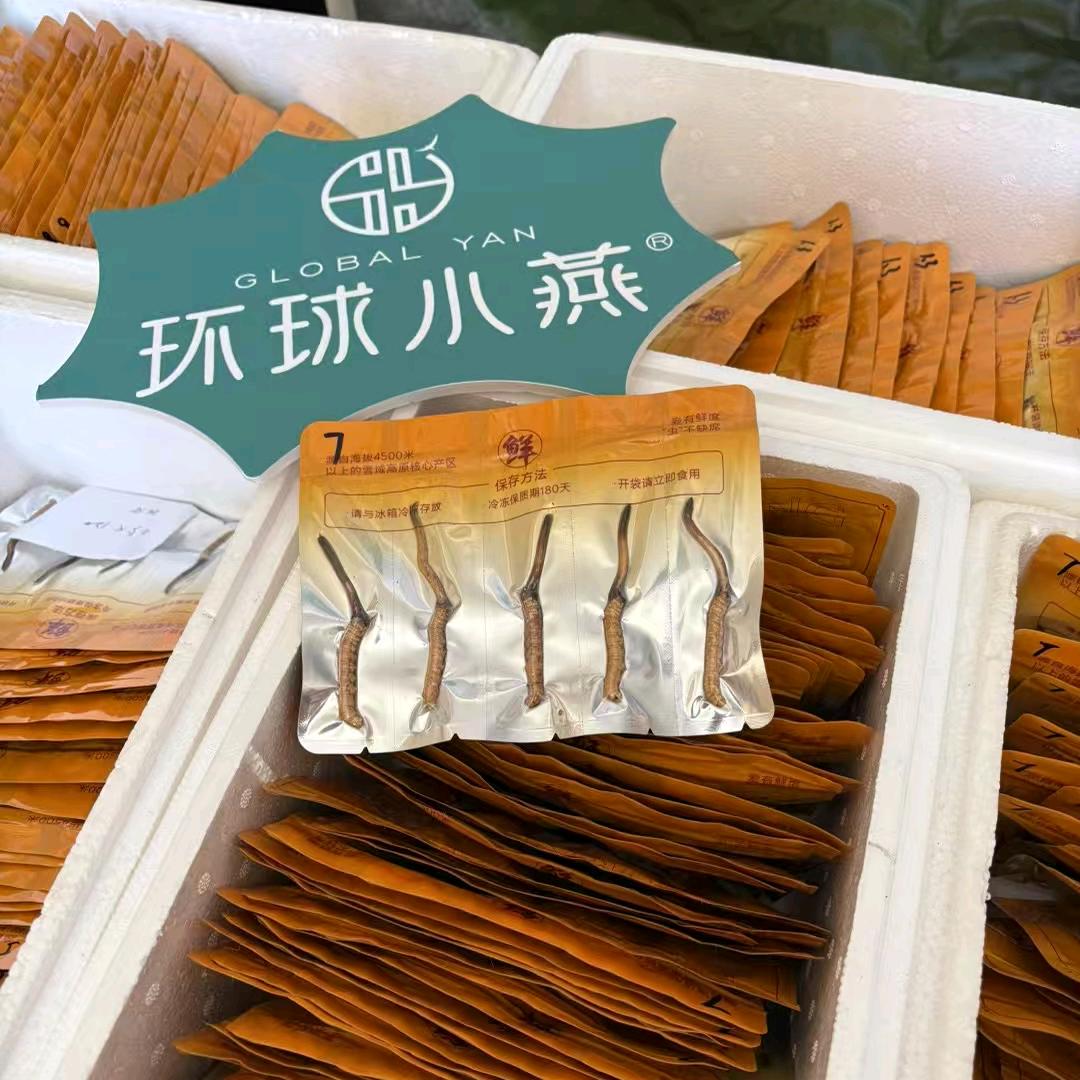 环球小燕，金色家园店琴琴