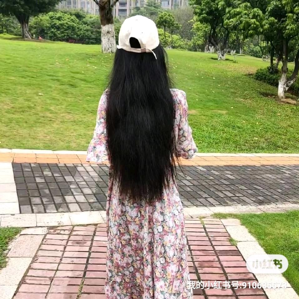 木子杨