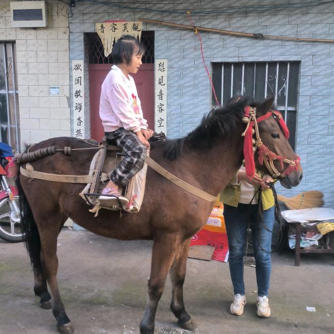 天天在奋斗
