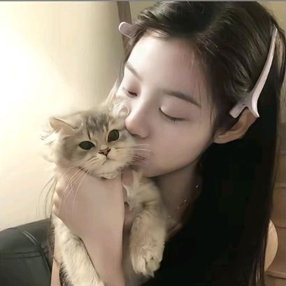 养只猫^
