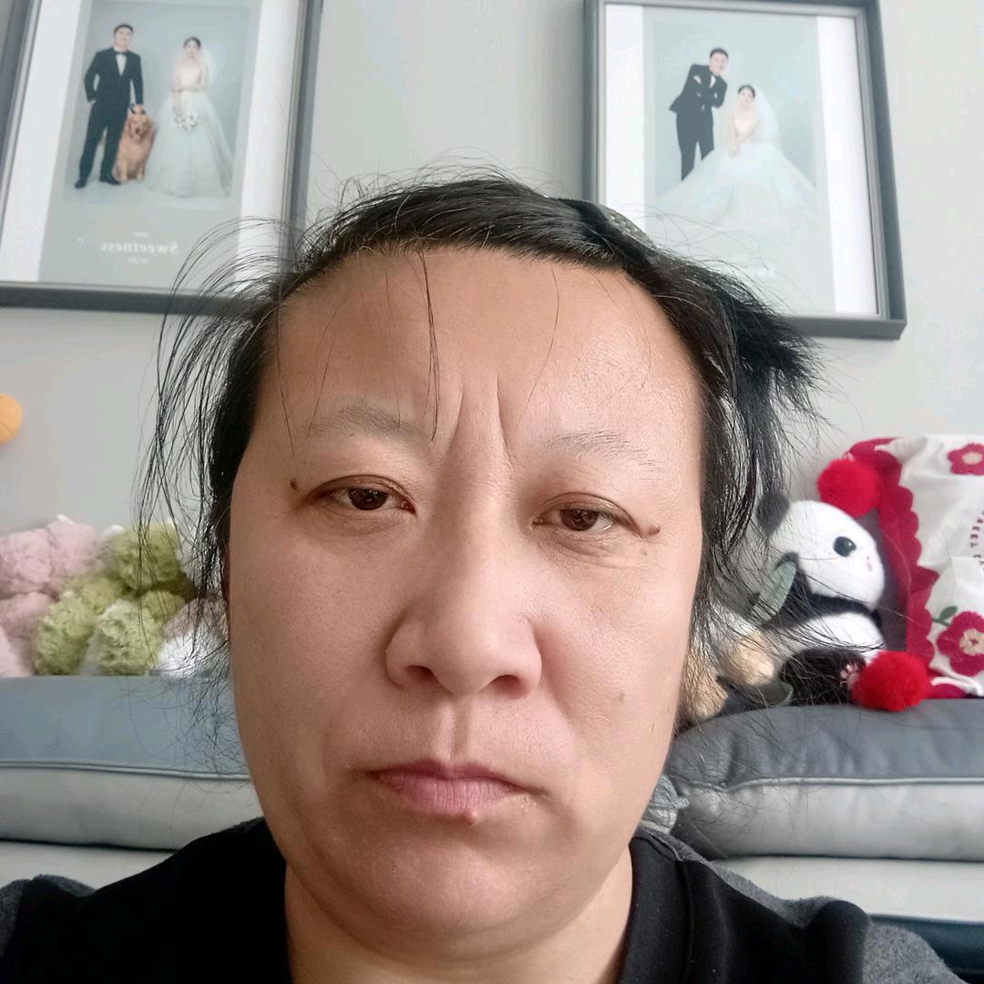 金凤