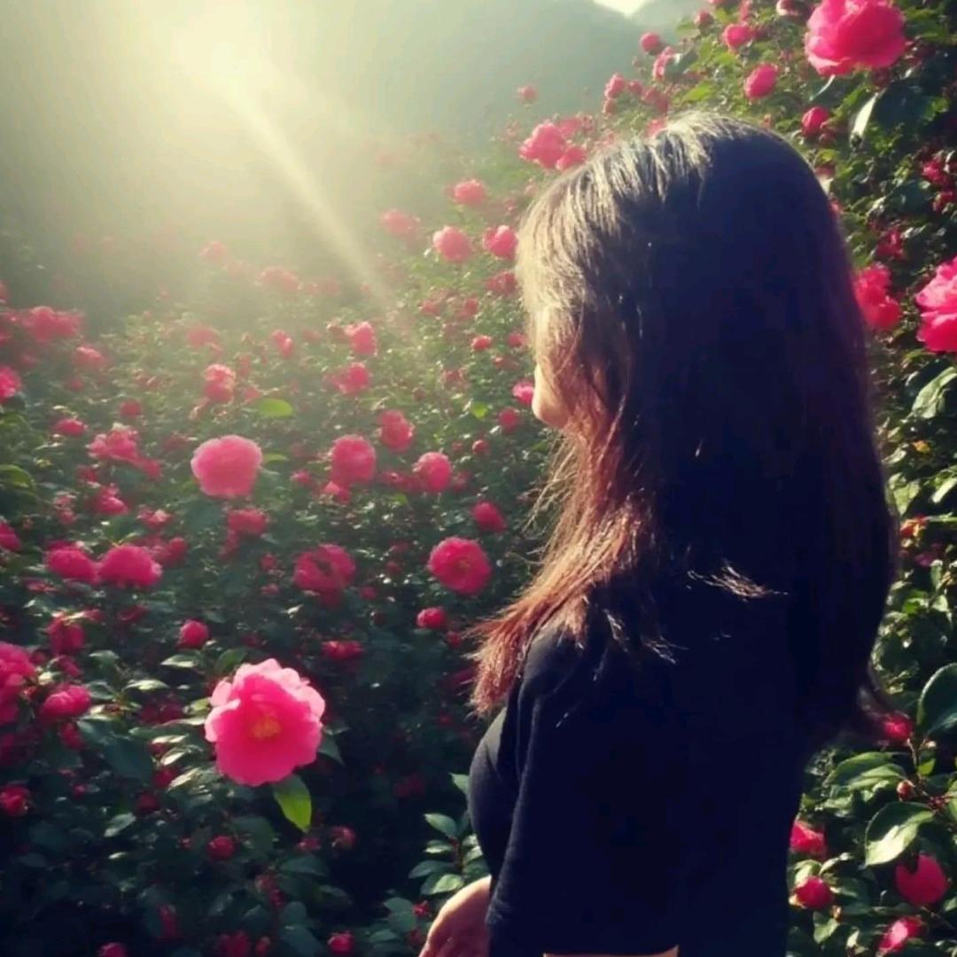 🌹🌹🌹🌹