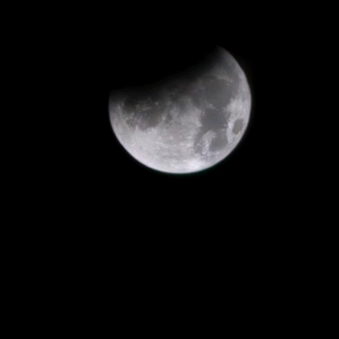 游泳健身总报名处【马笙】