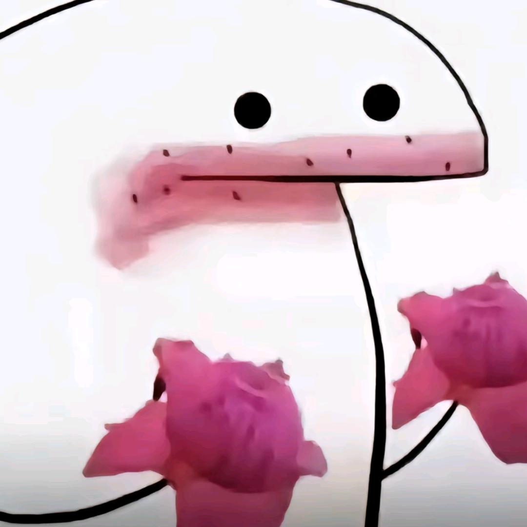 翻斗花园胡图图