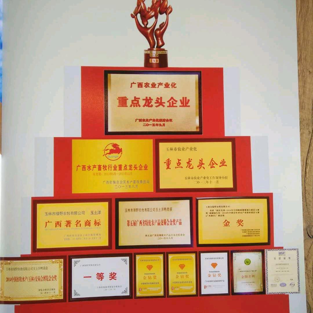 广西绿野集团的发展