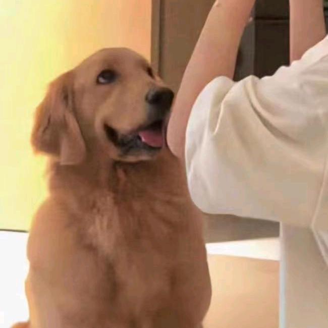 无聊的黑白面包