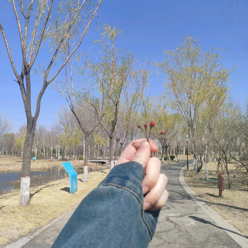 小韩吖✌🏻