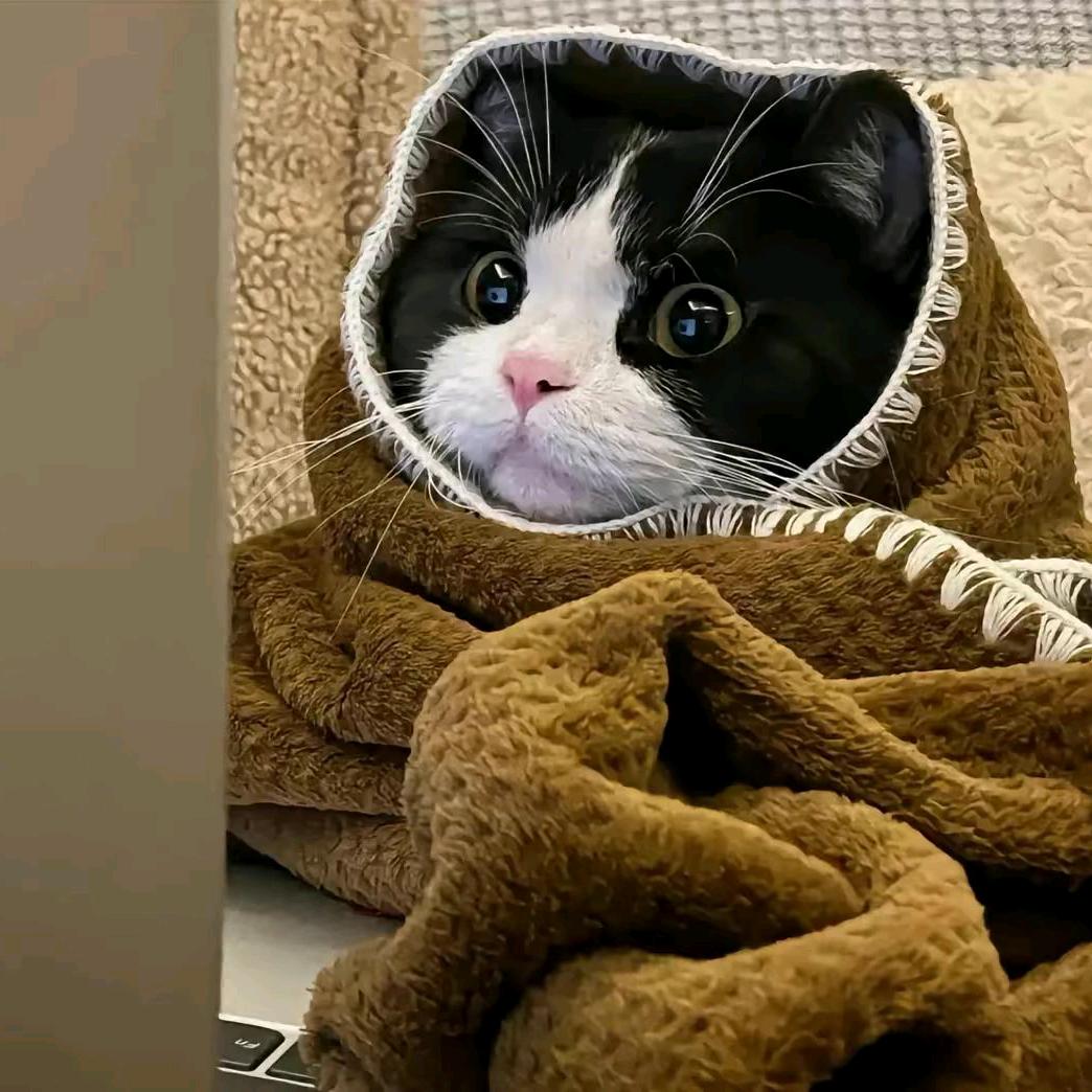 我最狂