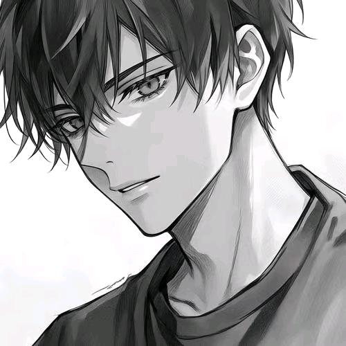 小说王子