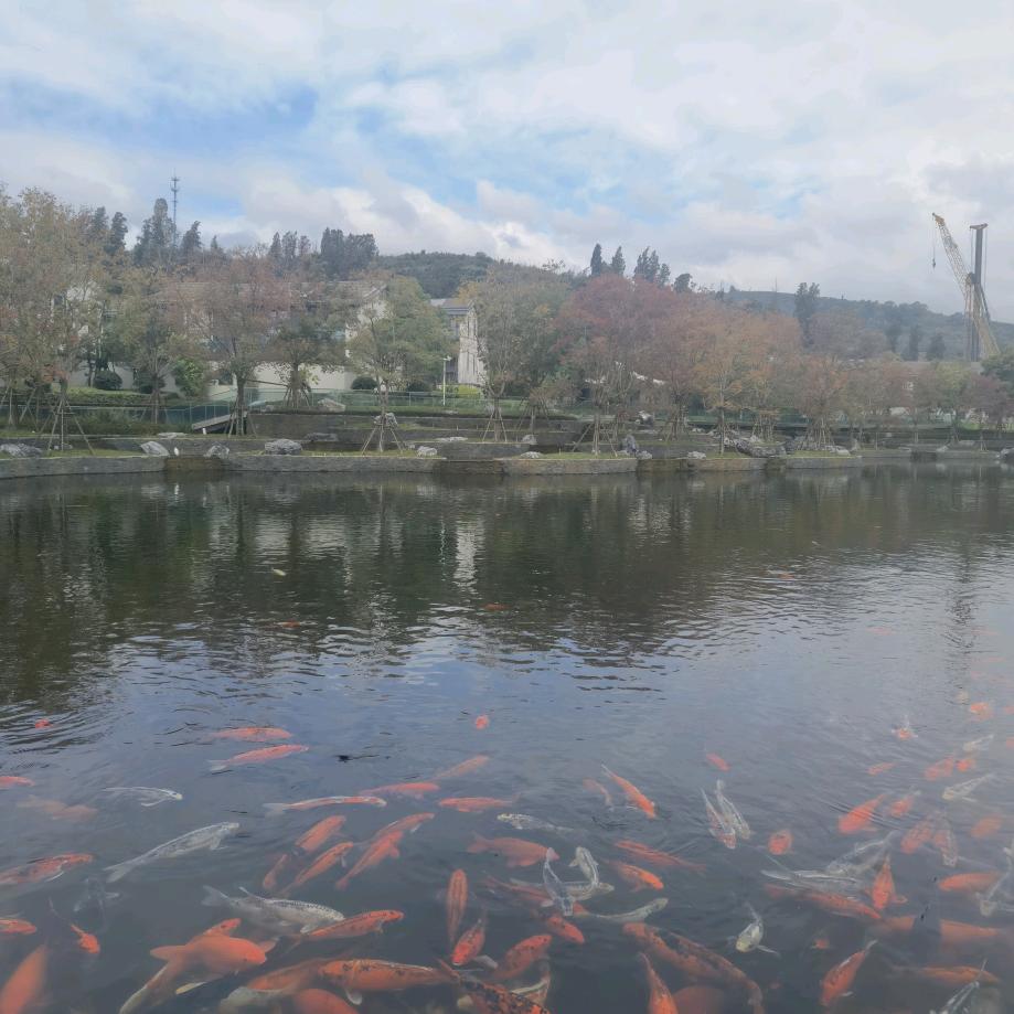 宜良滟硕房产中介有限公司