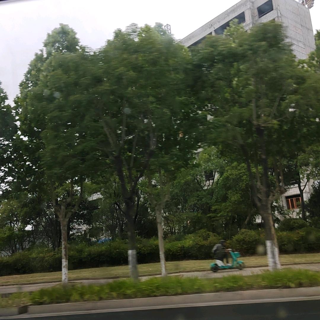 乐音