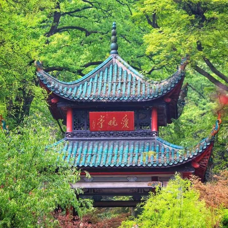 魏先生17141131199