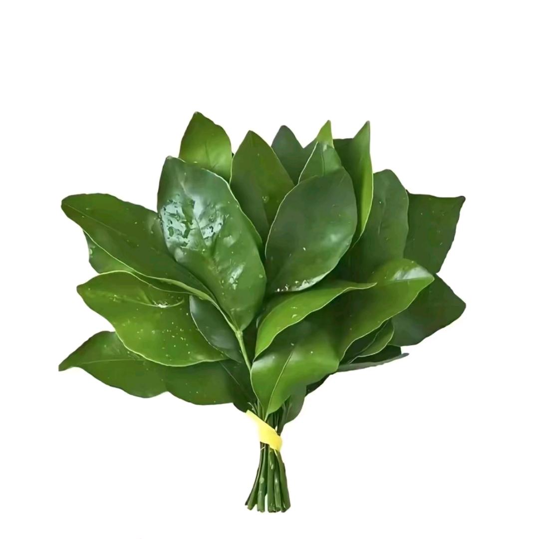ღ᭄花開、蔠灬敗落୧᭄࿐