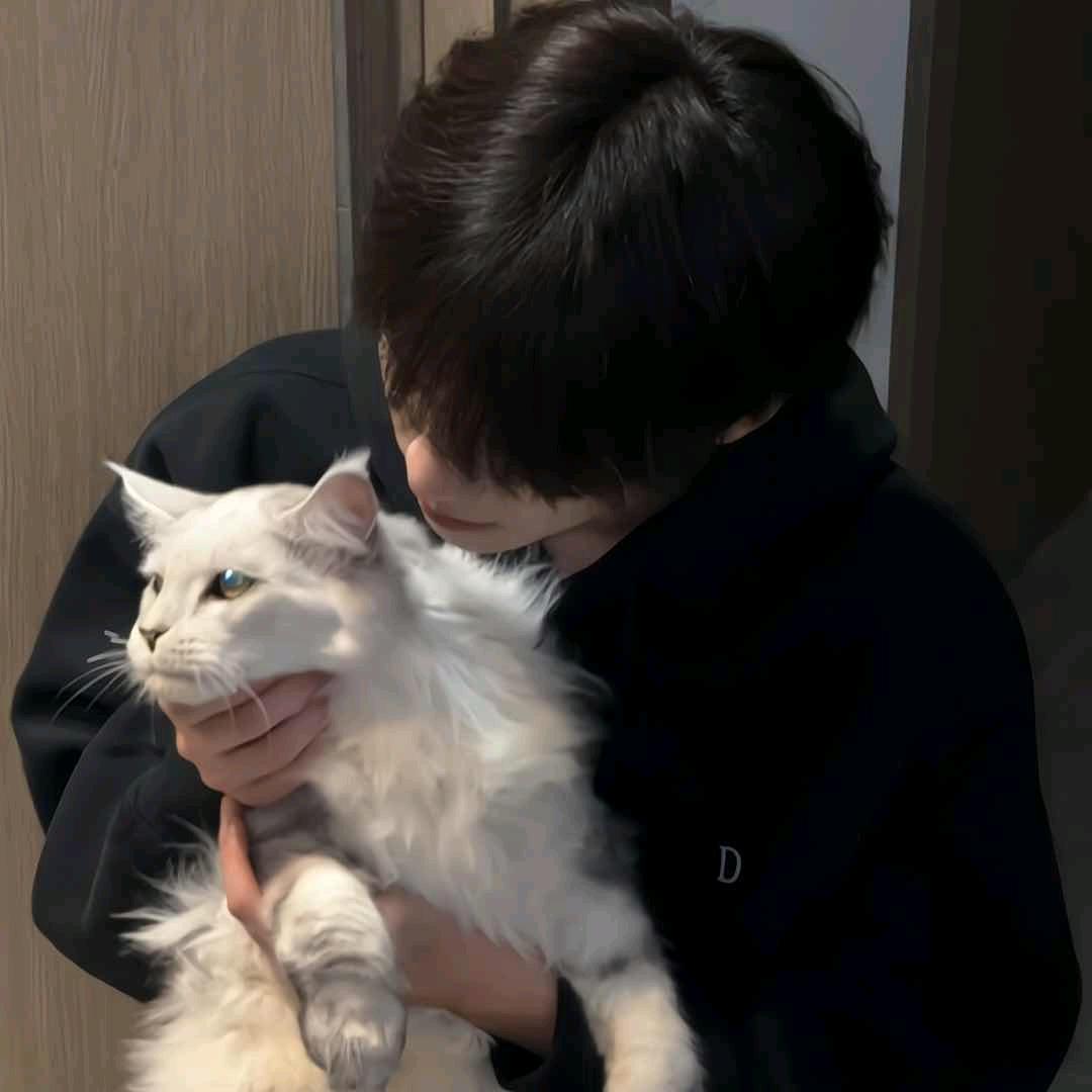 CF葵葵