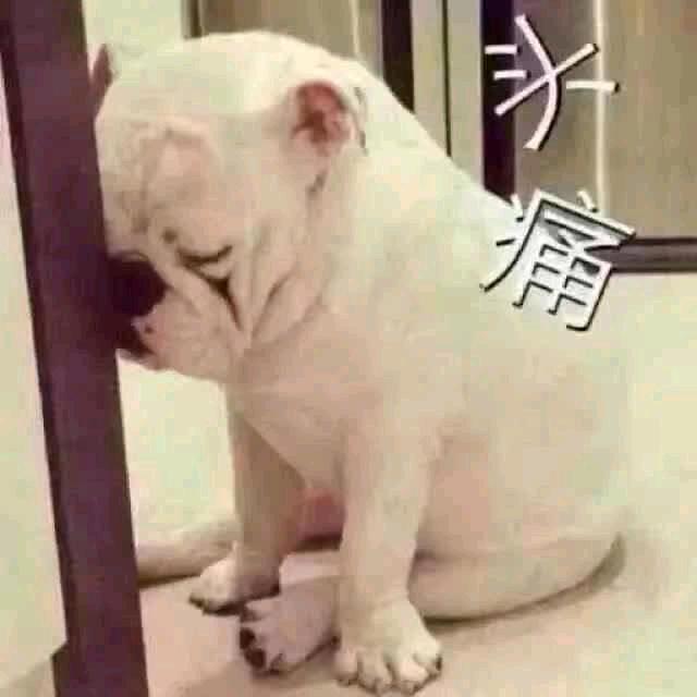 秋天的☞落叶