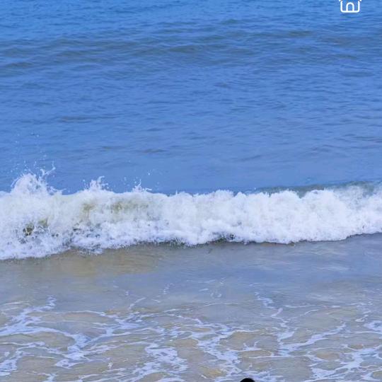 惠达杂货铺