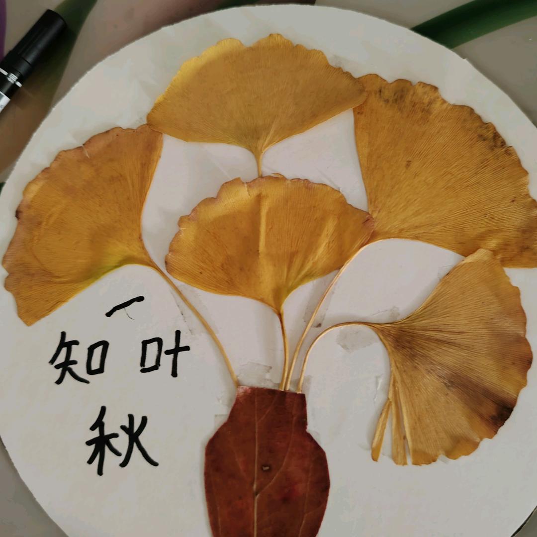 💞迷茫💘人生💞