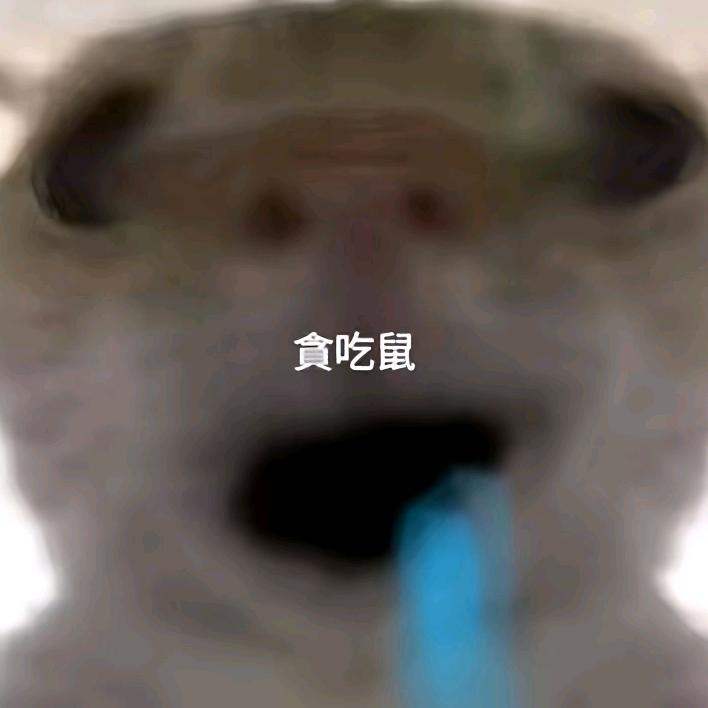 凯泽的三角洲（糖心电竞）