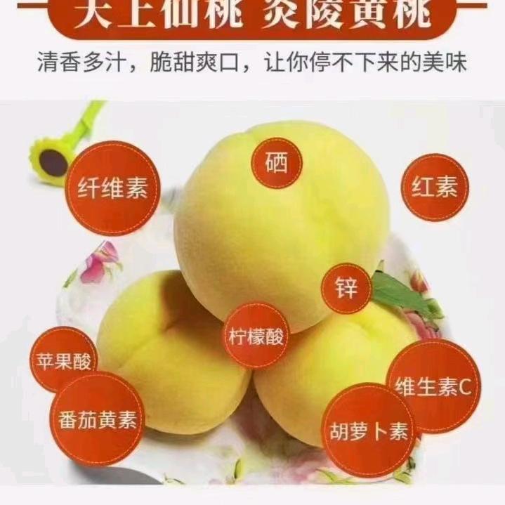 炎陵黄桃李歌