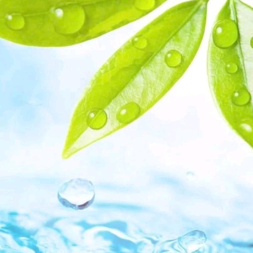 贵弘  新能源 PVT