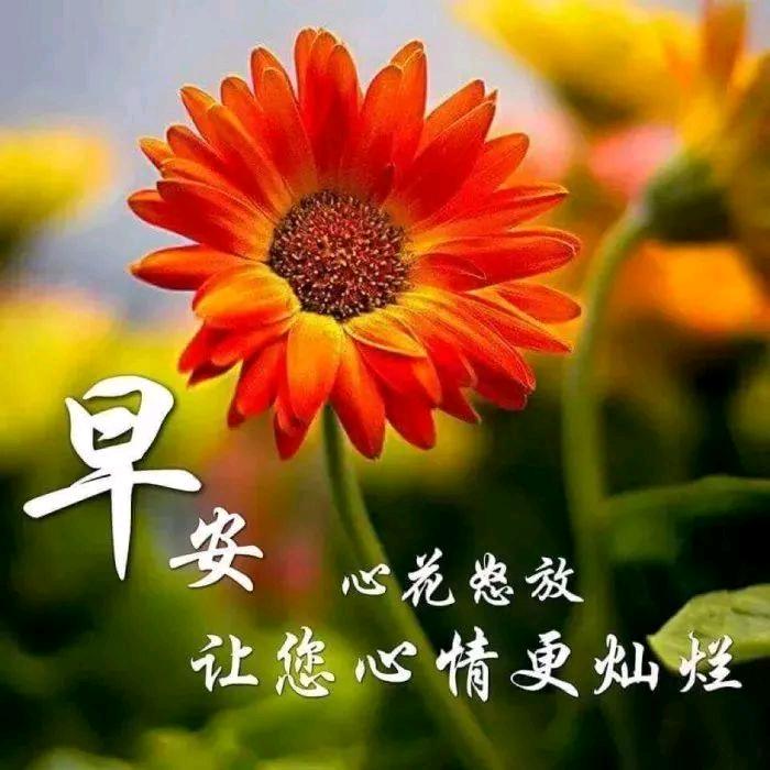 @   刘姐(๑Ő௰Ő๑) ¹³⁹