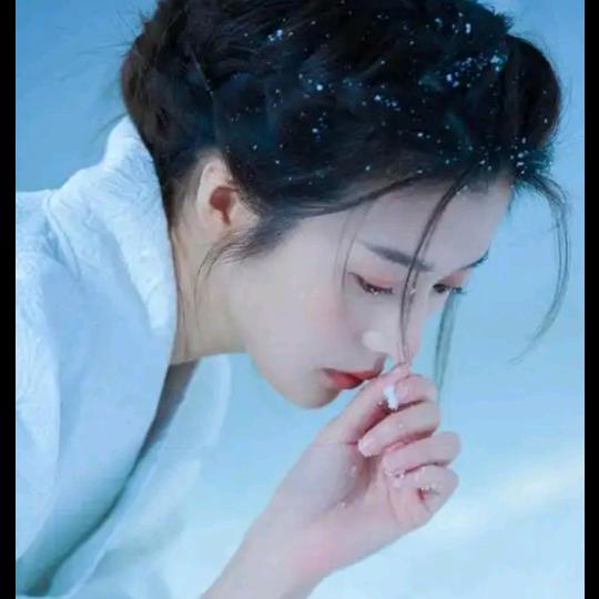 小鱼儿