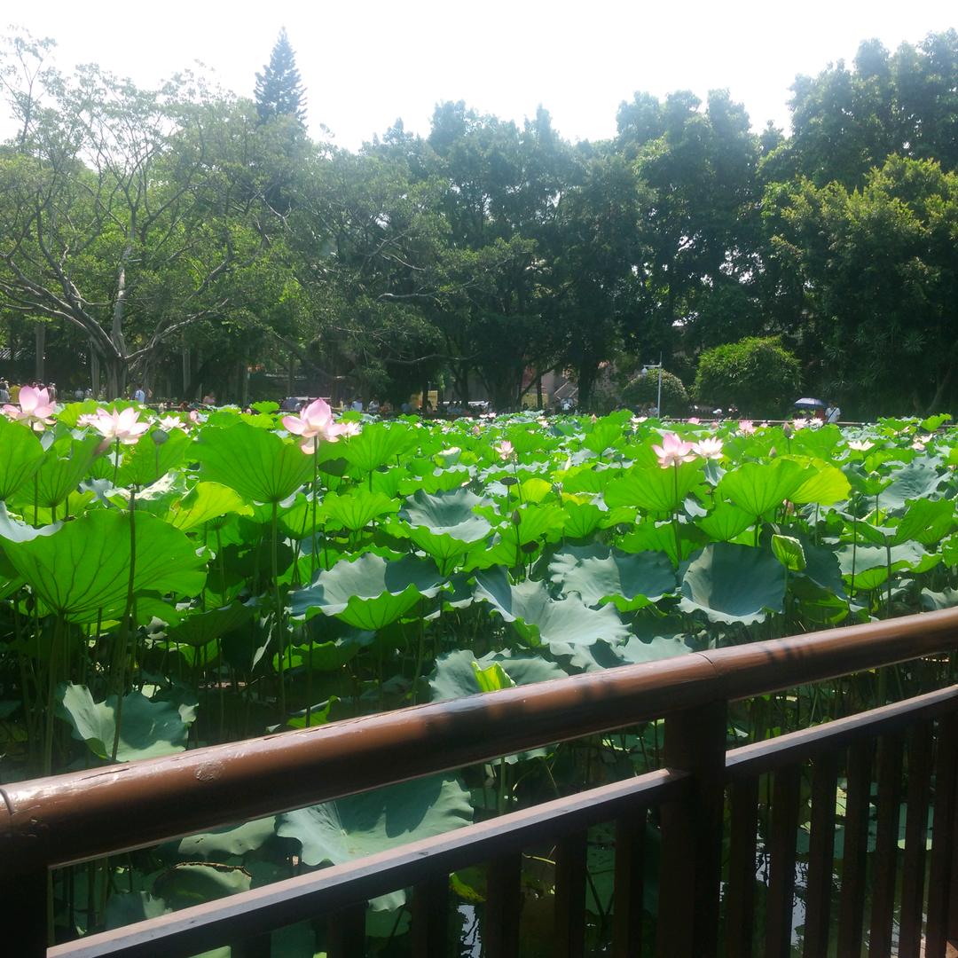 北岸西庭