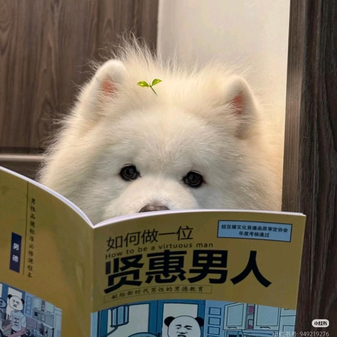林音