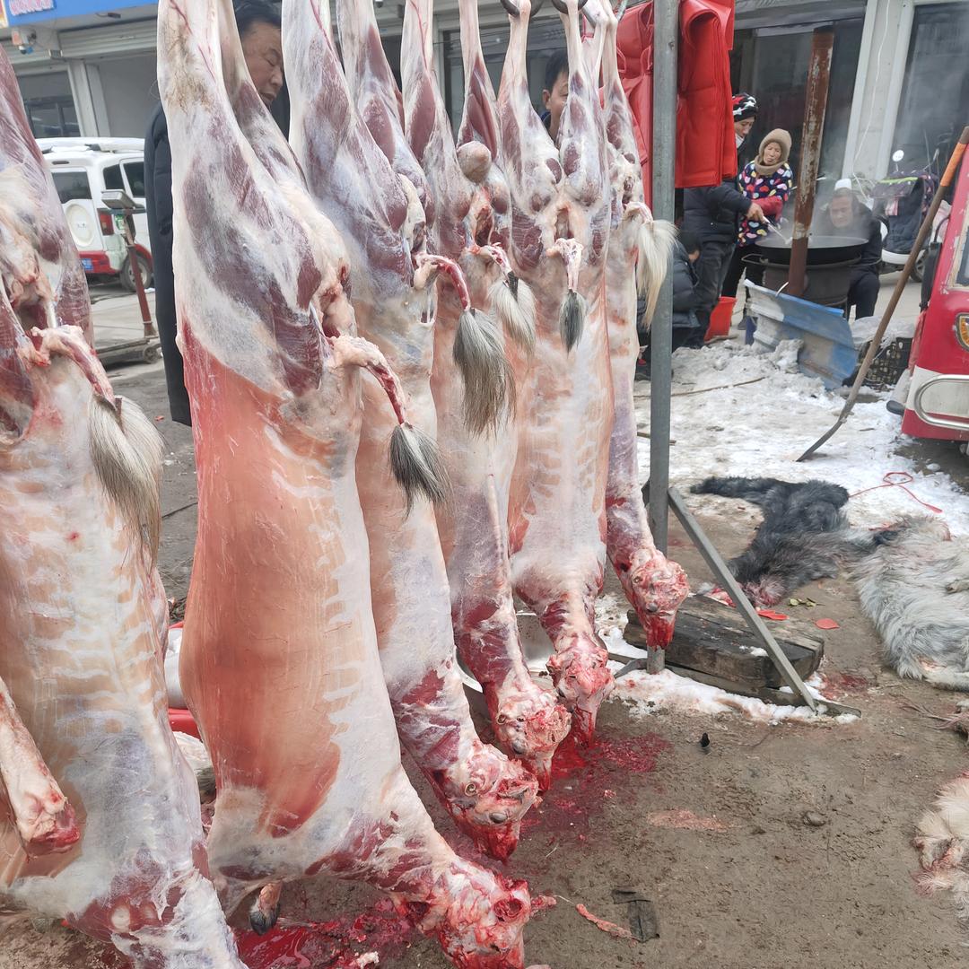 史小桥南街无水本地山羊肉